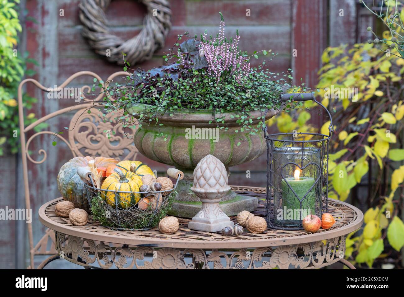 autumn garden decoration with plants, pumpkins and lantern Stock Photo