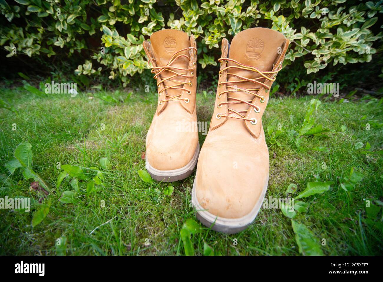 Timberlands hi-res stock photography and images - Alamy