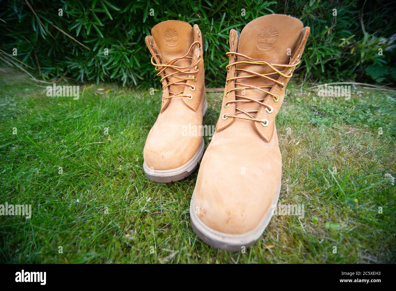 Timberland Boots High Resolution Stock Photography and Images - Alamy