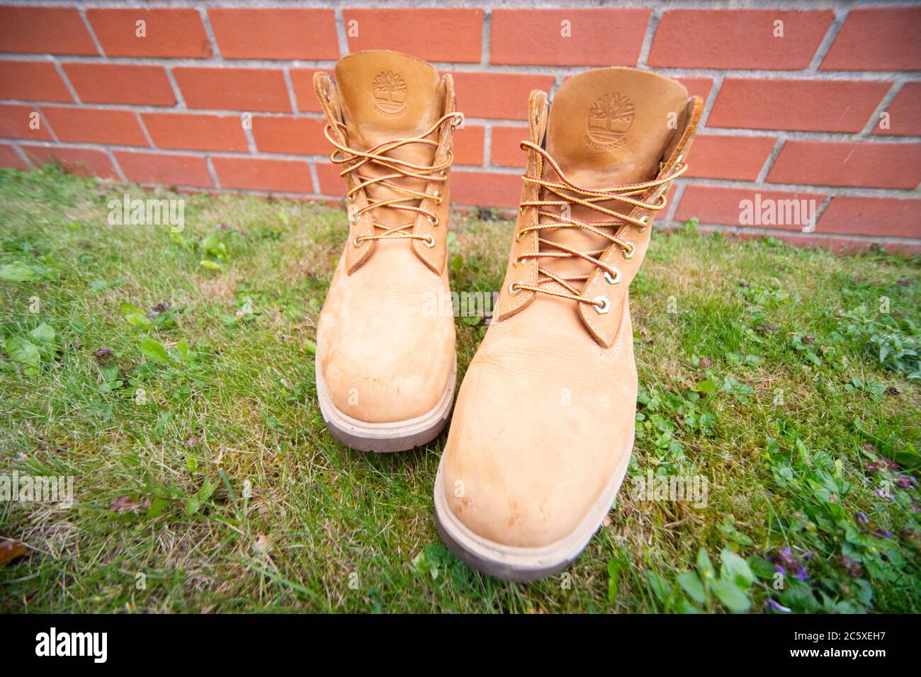 Timberland Radford 6 inch tan or wheat coloured boots with the lightweight  SensorFlex soles - UK, England, boot, outerwear, style, rugged, timb, timbs  Stock Photo - Alamy