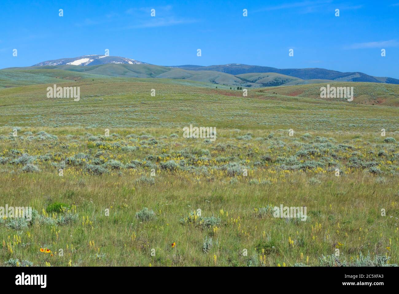 vast sagebrush flats and foothills below mount edith in the big belt