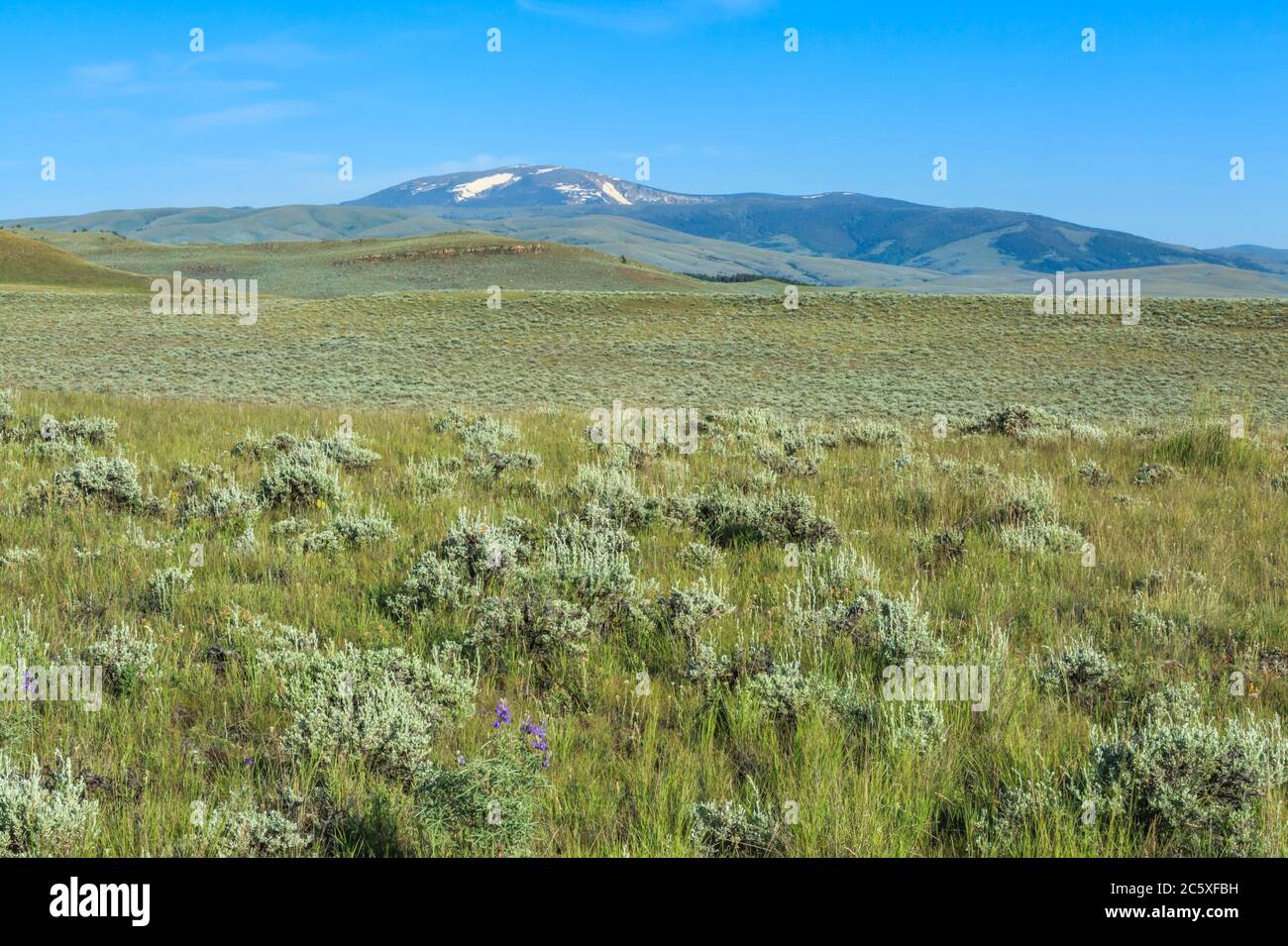 vast sagebrush flats and foothills below mount edith in the big belt