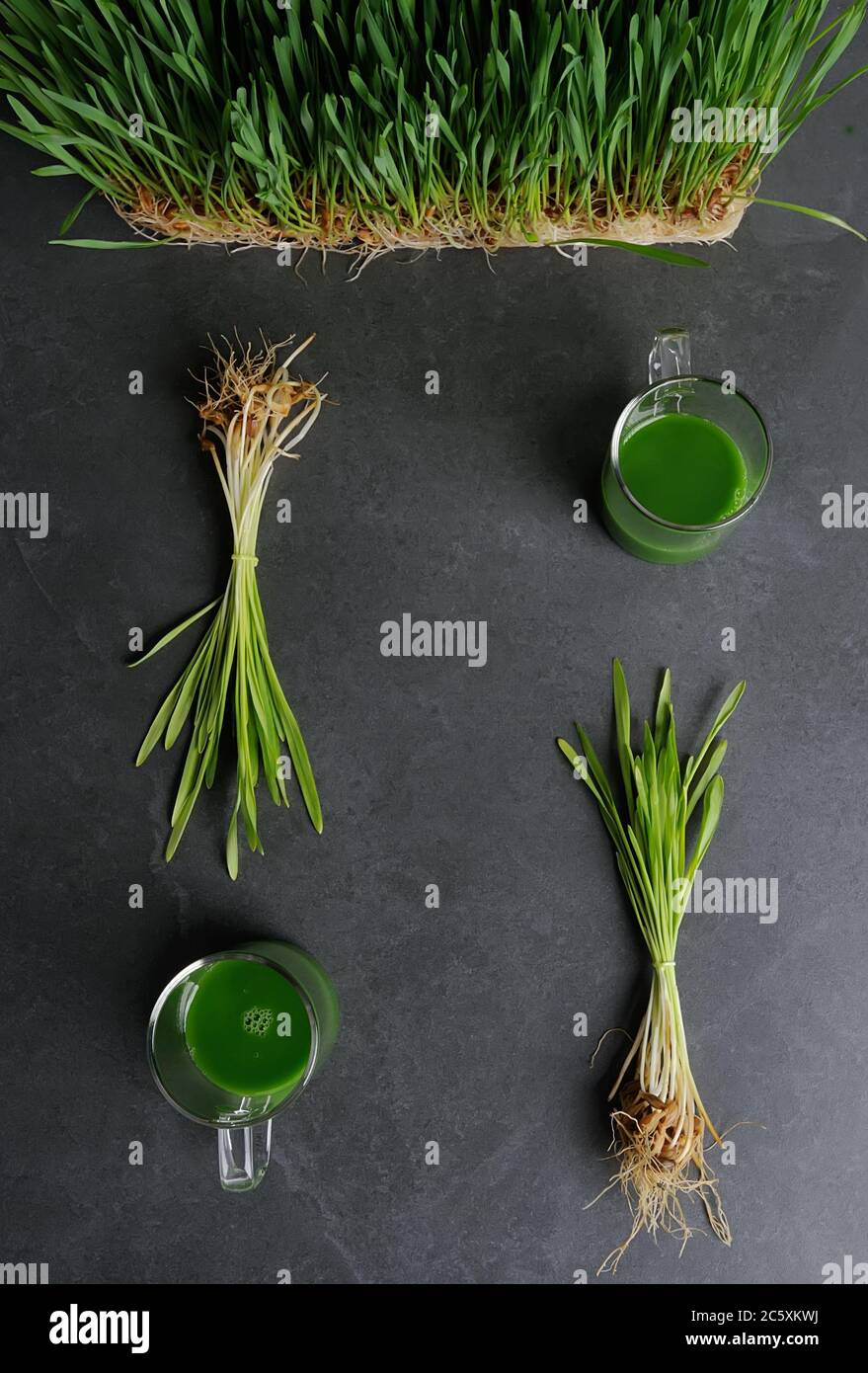 Green wheat grass juice in the glass cup  over dark gray background.Juice from wheat grass plants.Detox,nutrition food concept. Stock Photo