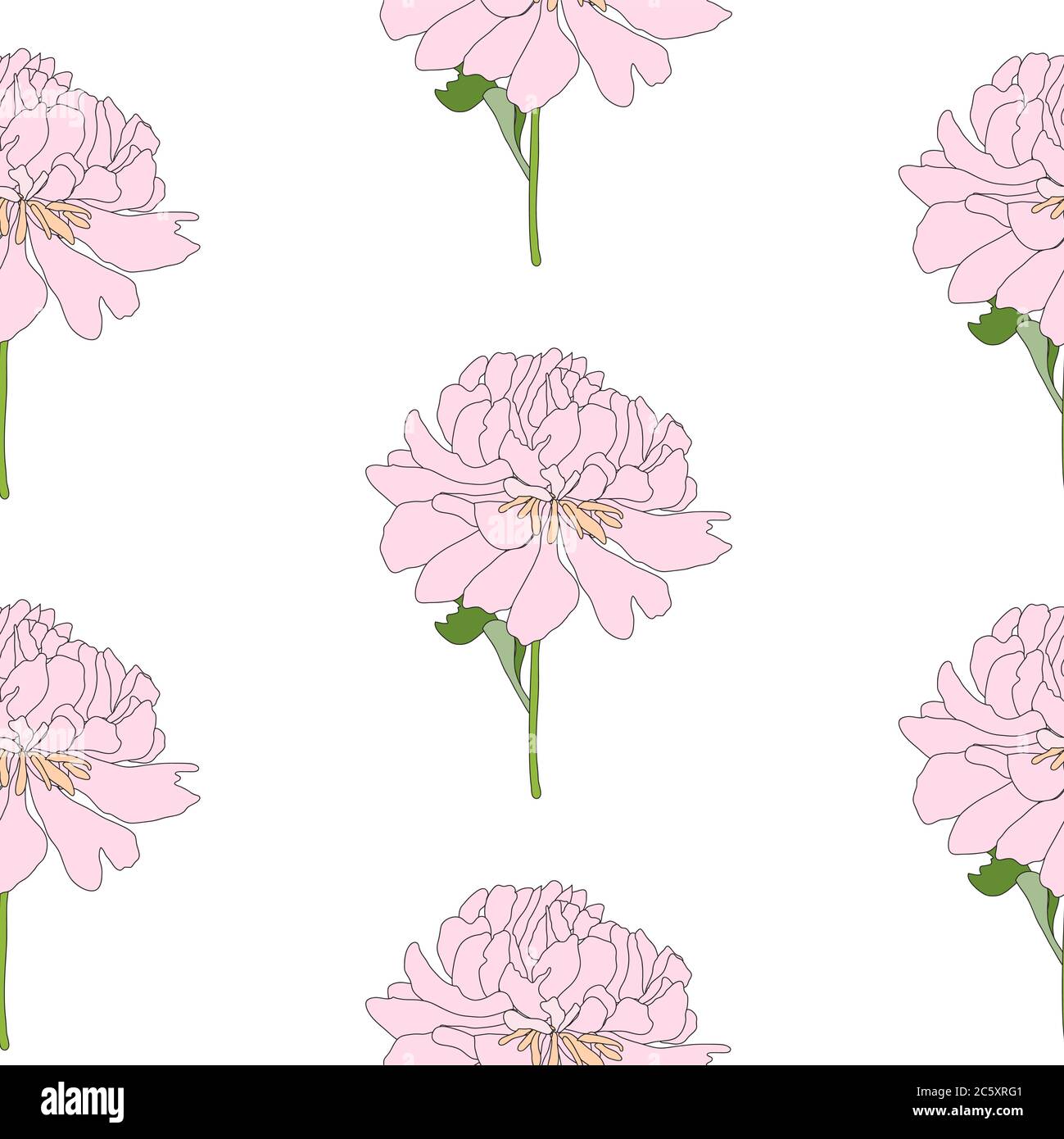 Abstract Hand Drawn Peony flower seamless pattern background. Vector ...
