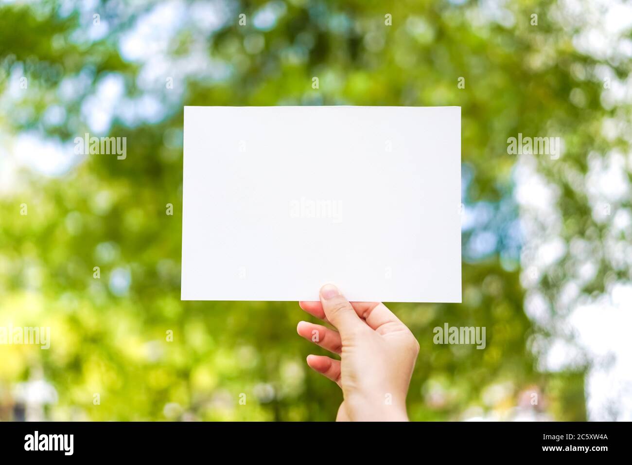 Copy space of white paper on nature background. Use for put text on blank space. Stock Photo