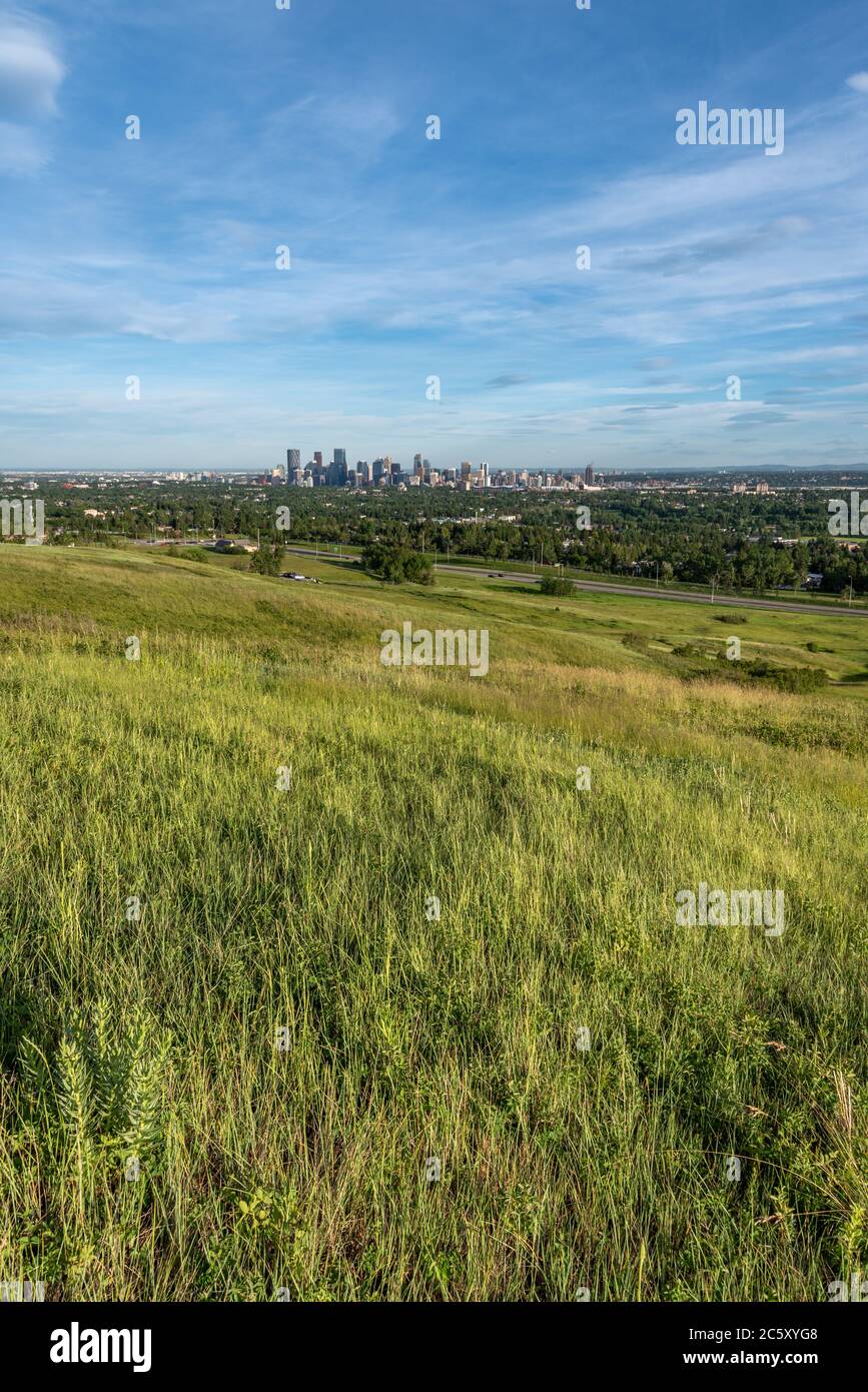 View of Calgary's beautiful skyline during a beautiful sunset Stock ...
