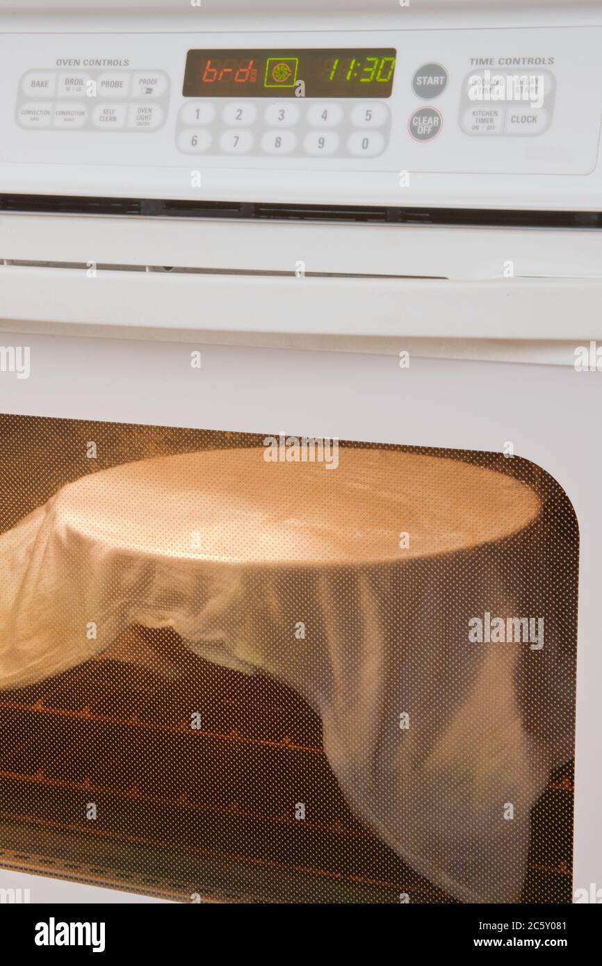Bread rising in damp clothcovered bowl, in oven with special bread rising cycle Stock Photo Alamy