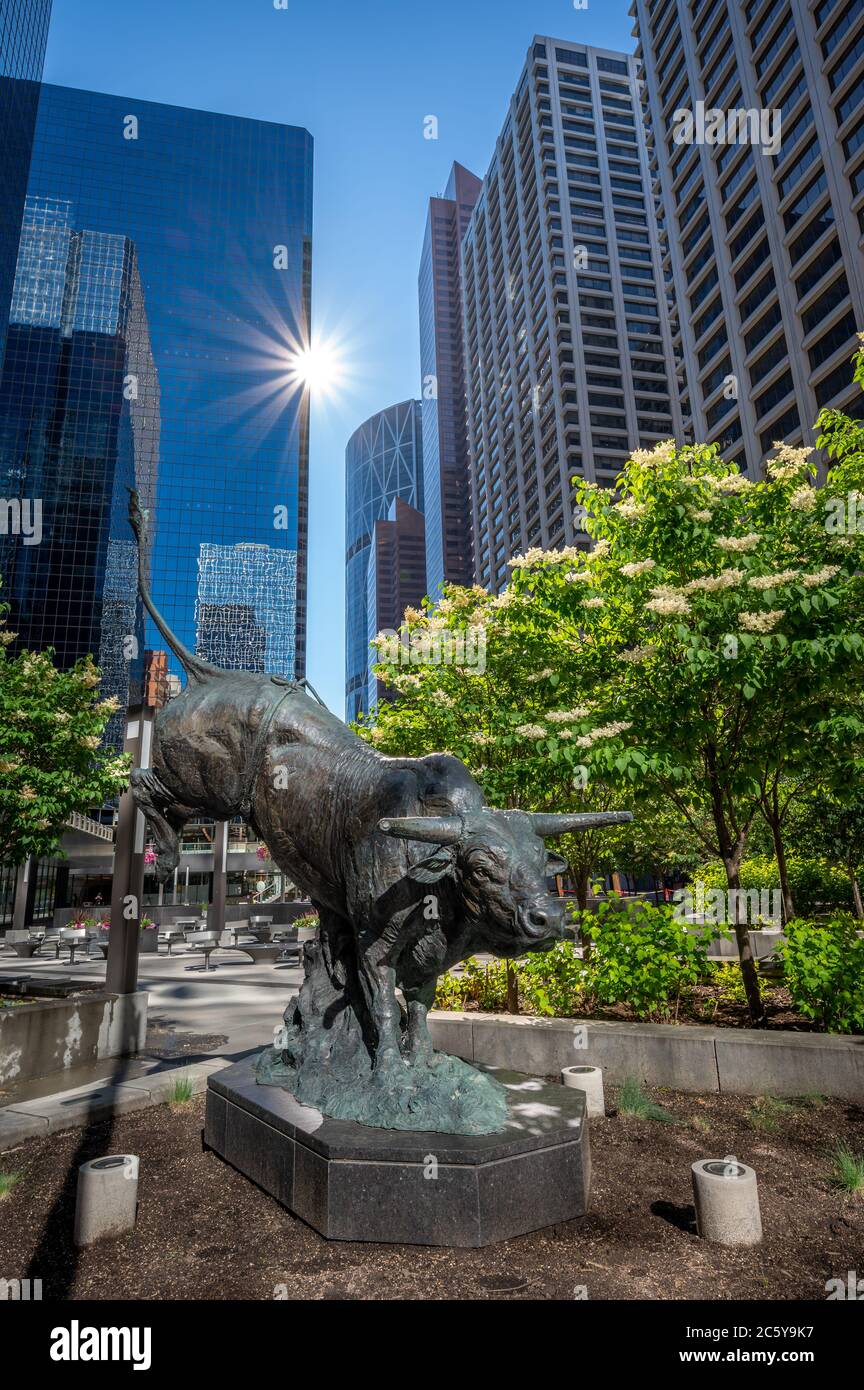 View of a famous bull statue surrounded by modern buildings in Calgary ...