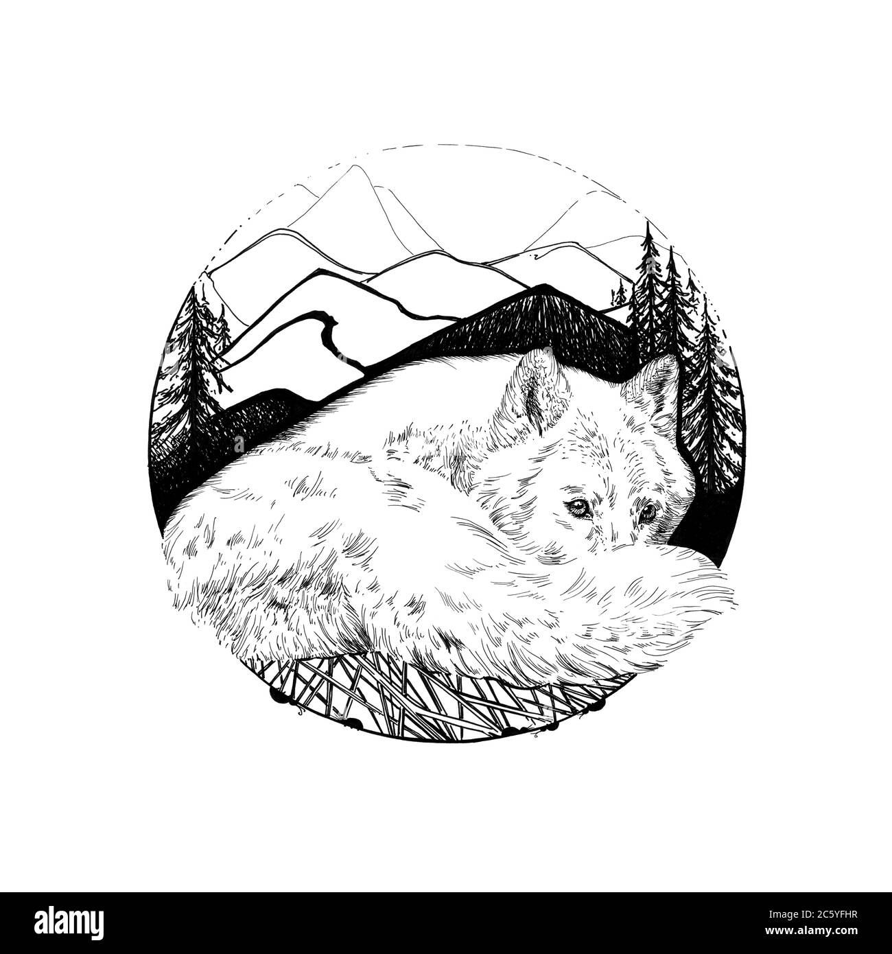 Wolf Drawing High Resolution Stock Photography And Images Alamy