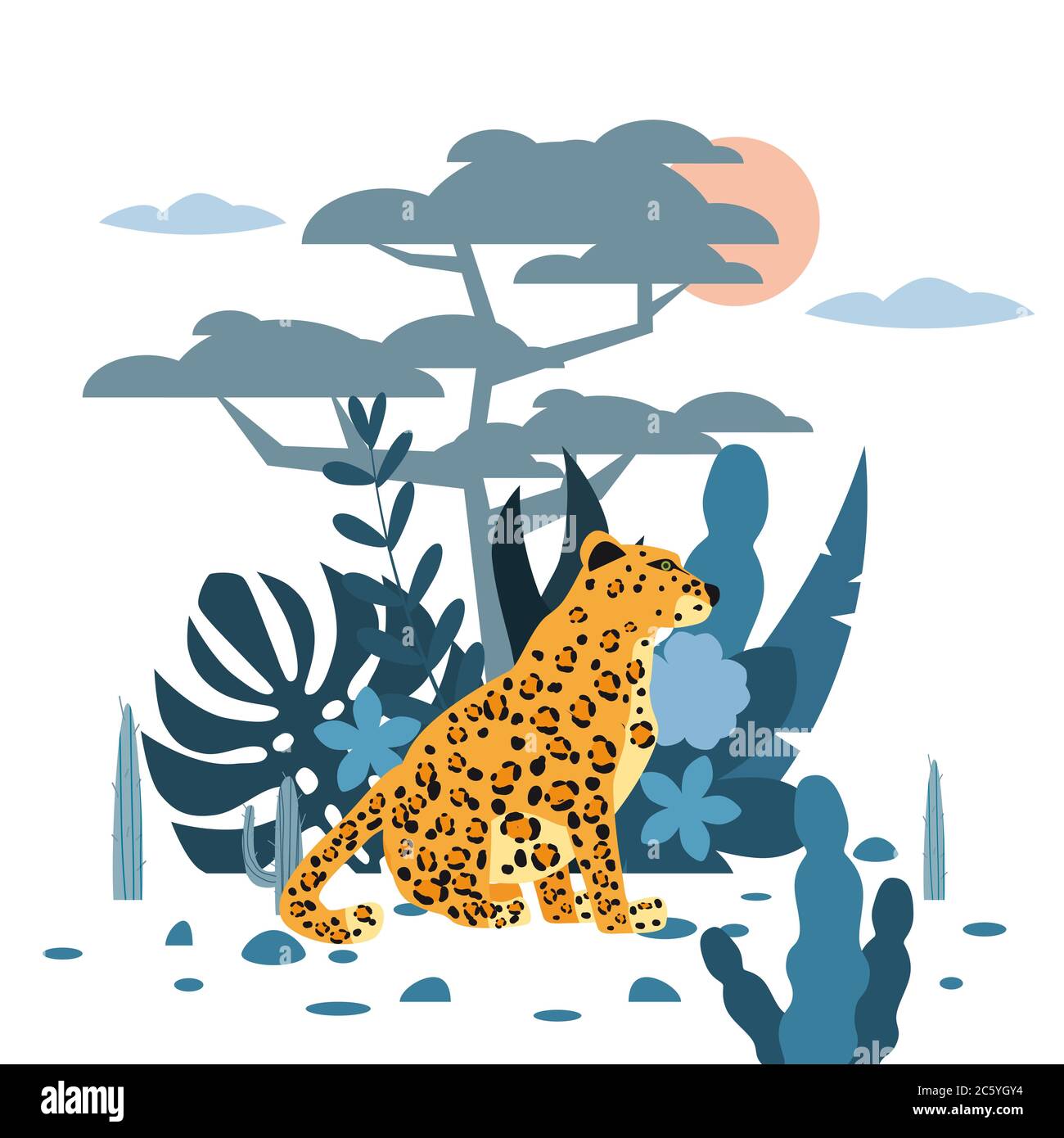 Leopard Plant High Resolution Stock Photography and Images - Alamy