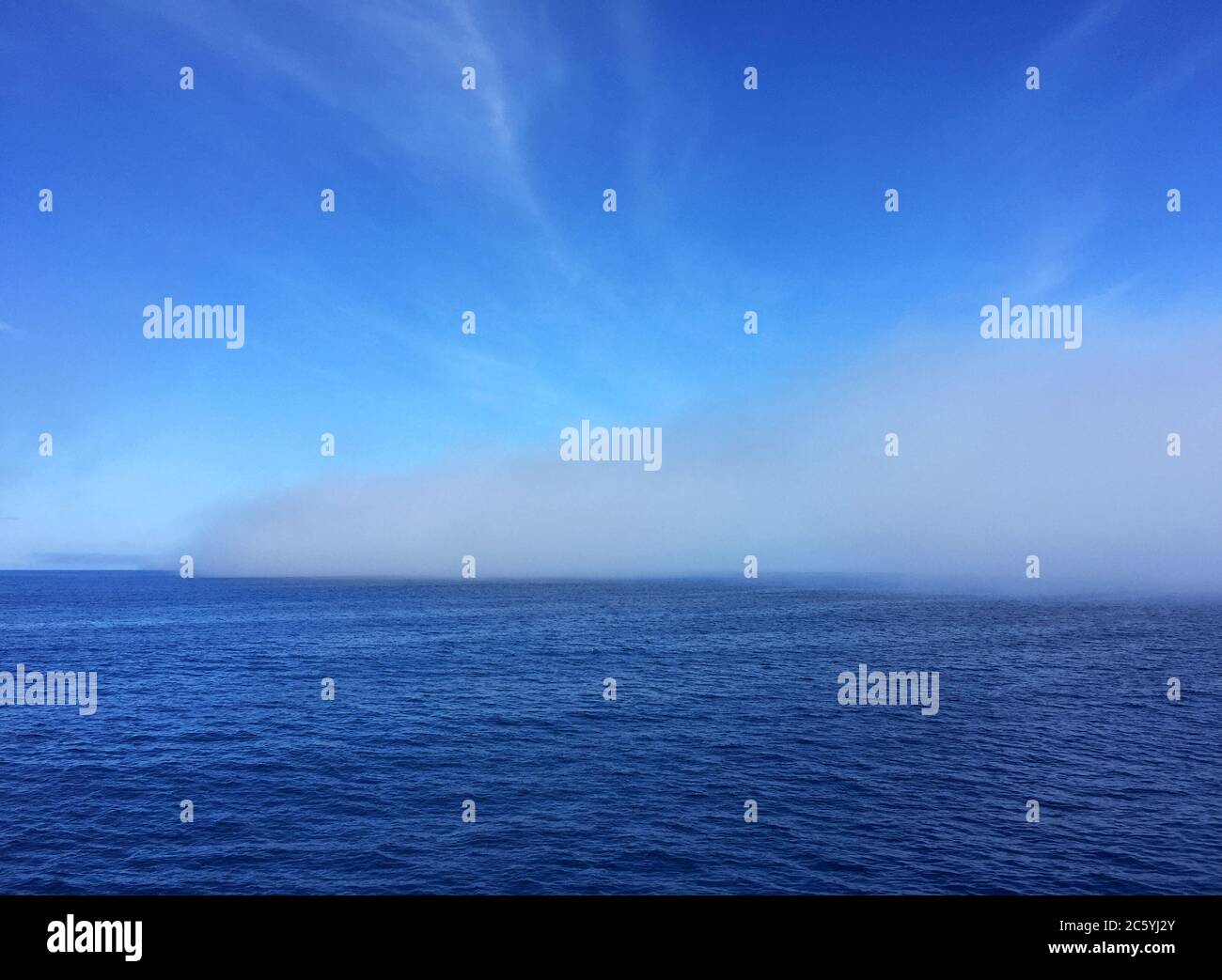 Coastal pacific ocean off Dunedin, South Islands, New Zealand. Thick ...