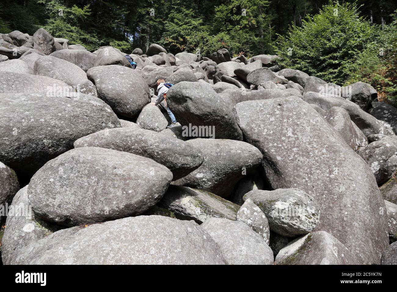 Das bekannte Felsenmmer im Odenwald oberhalb von Lautertal-Reichenbach Stock Photo