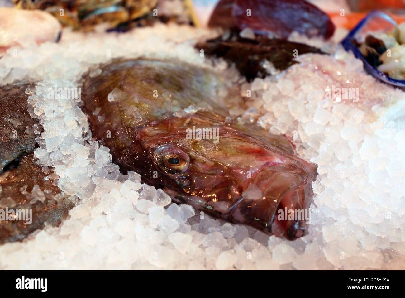 Nahaufnahme einer Fischtheke mit Fischen und Meeresfrüchten Stock Photo