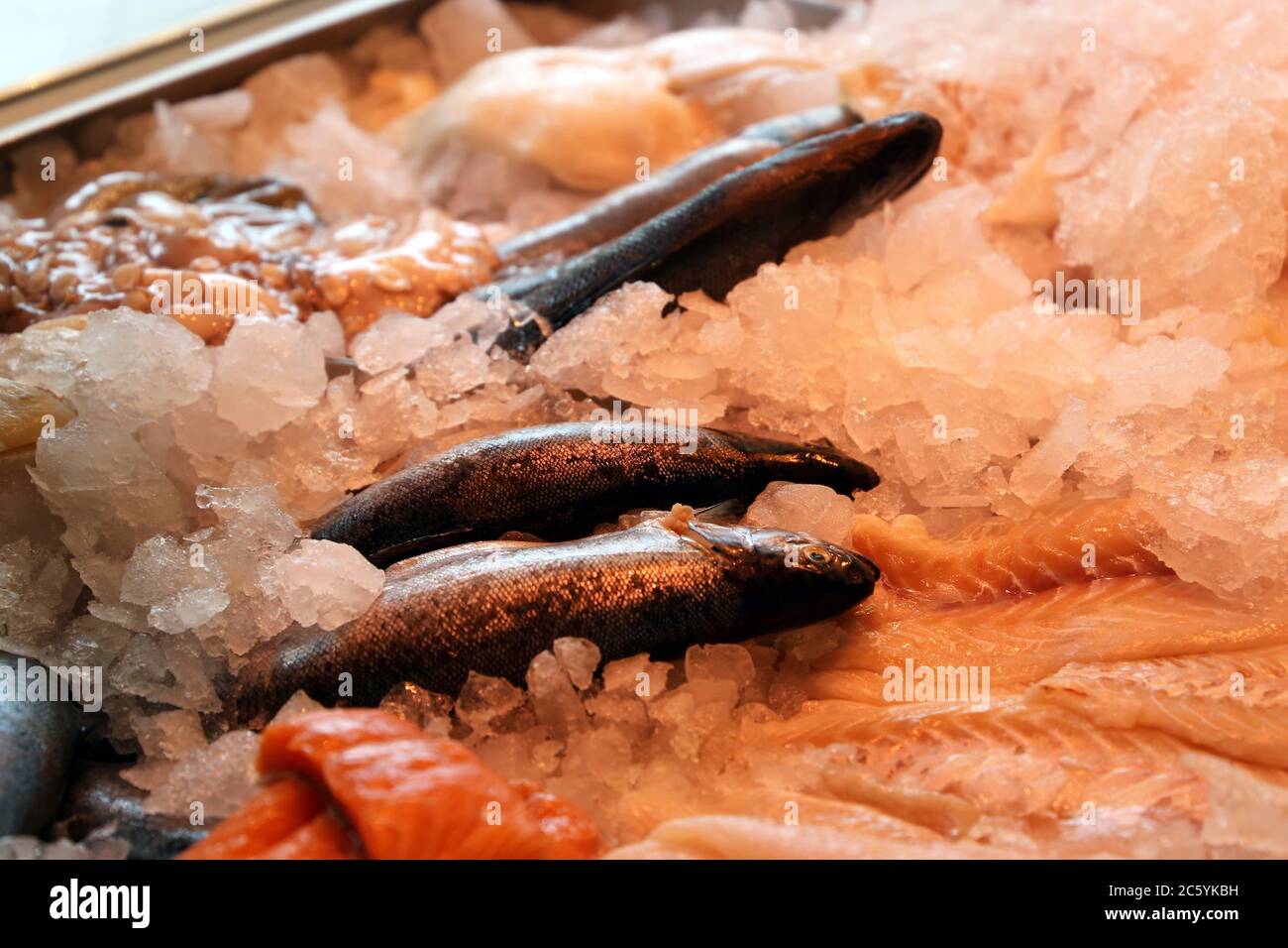 Nahaufnahme einer Fischtheke mit Fischen und Meeresfrüchten Stock Photo