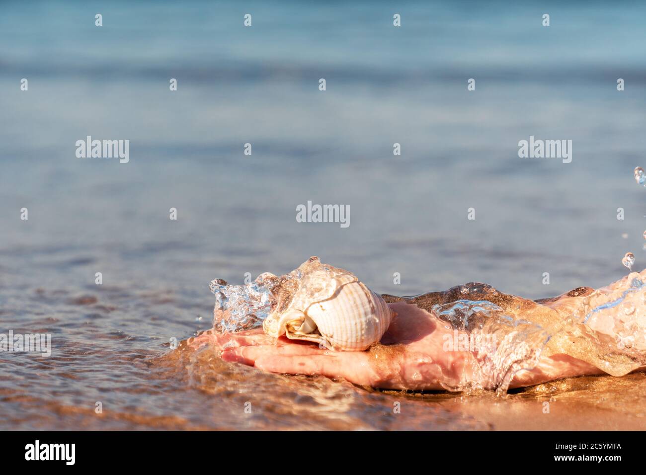 Hand is grabing a sea shell from crystal clear water at the golden sandy Beach in Antalya. High quality photo Stock Photo