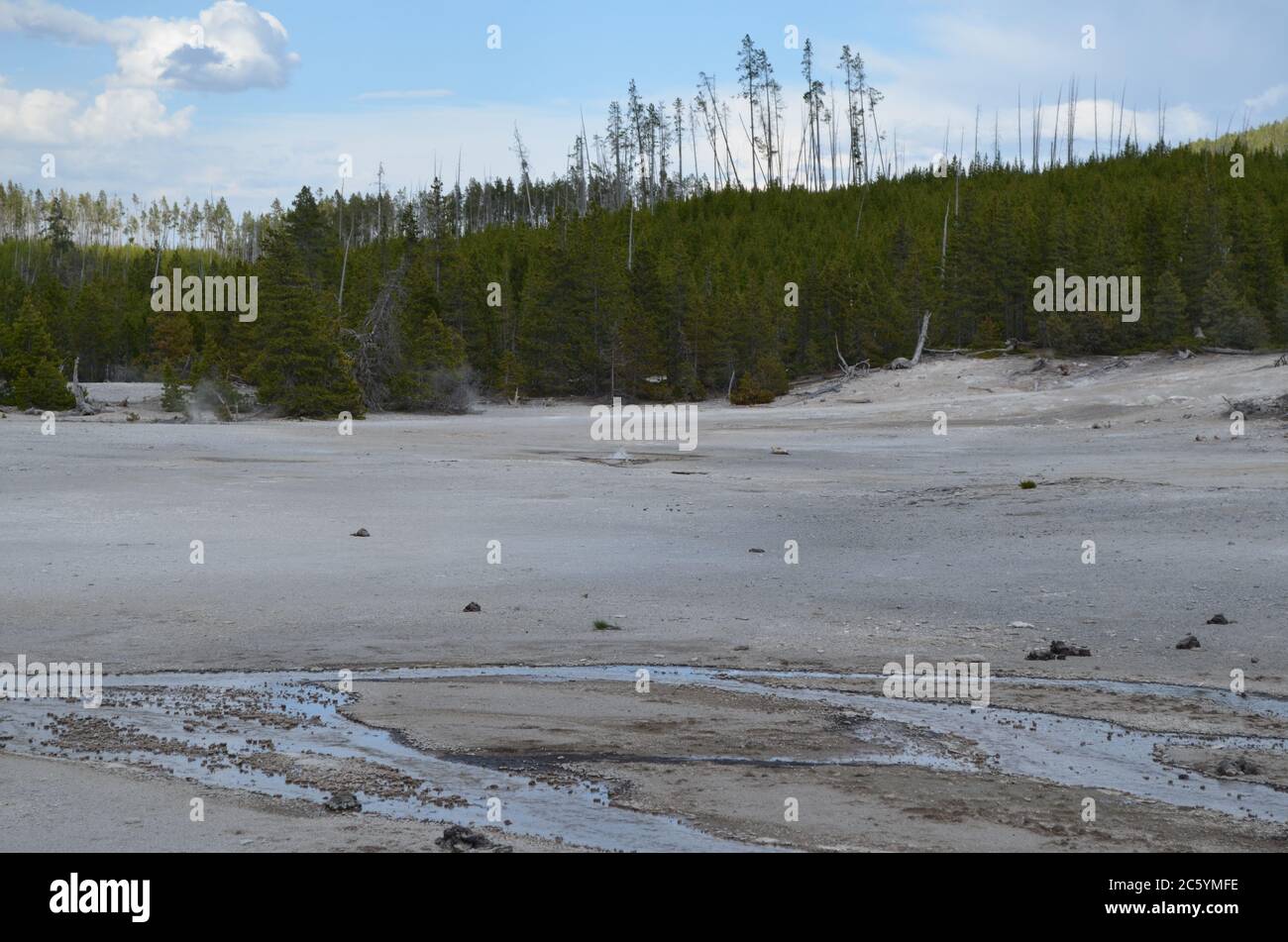 Spring in Yellowstone National Park: Gray Lakes Tributary of Tantalus Creek in Front of Orby Geyser in the Back Basin Area of Norris Geyser Basin Stock Photo