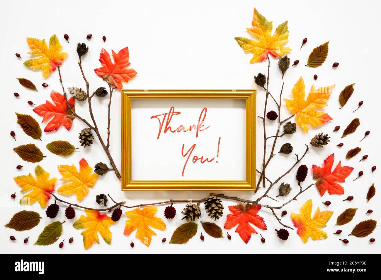 Colorful Autumn Leaf Decoration, Golden Frame, Text Thank You Stock ...
