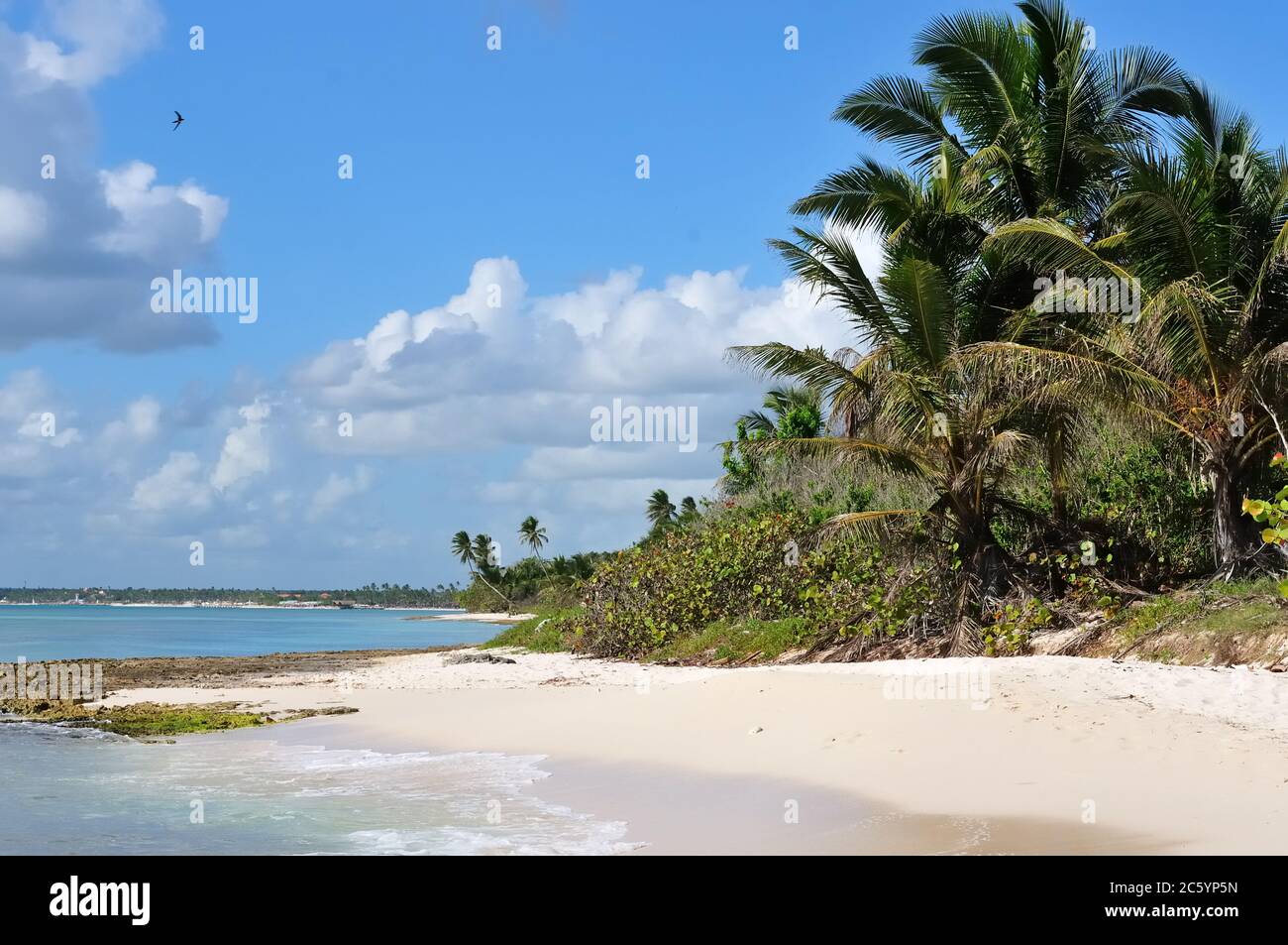 The view on the beautiful tropical beach in East National Park, close Bayahibe, Dominikana Republic Stock Photo