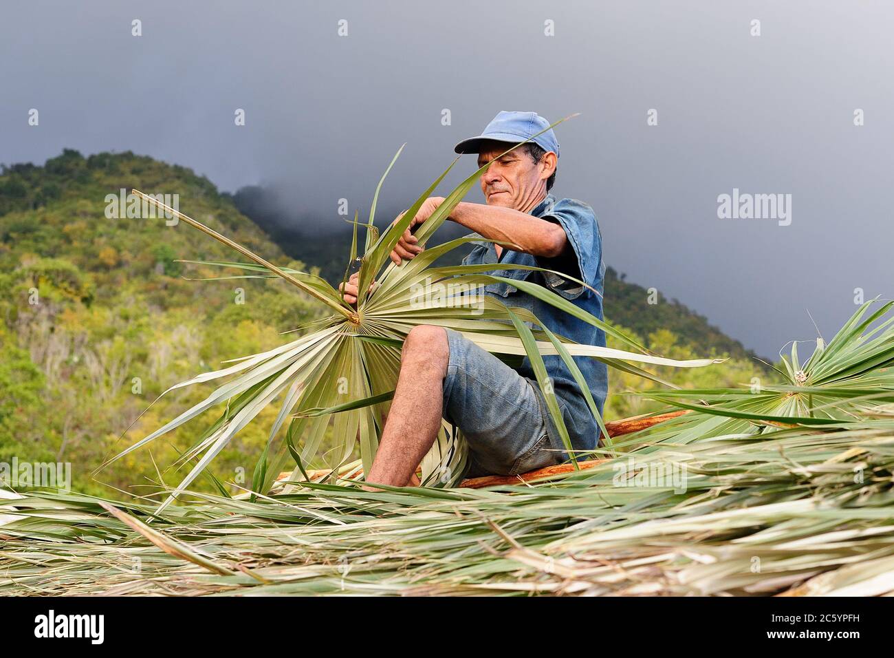 BAYAMO, CUBA - NOVEMBER 25: The man works on the thatched roof building in Cuba November 25, 2016 Stock Photo