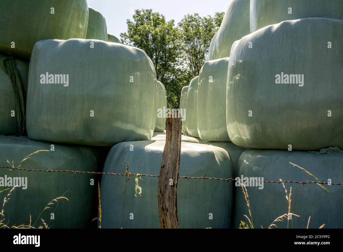 Hay bales in bags captured on a sunny day in a field. Auvergne Rhone Alpes. France Stock Photo