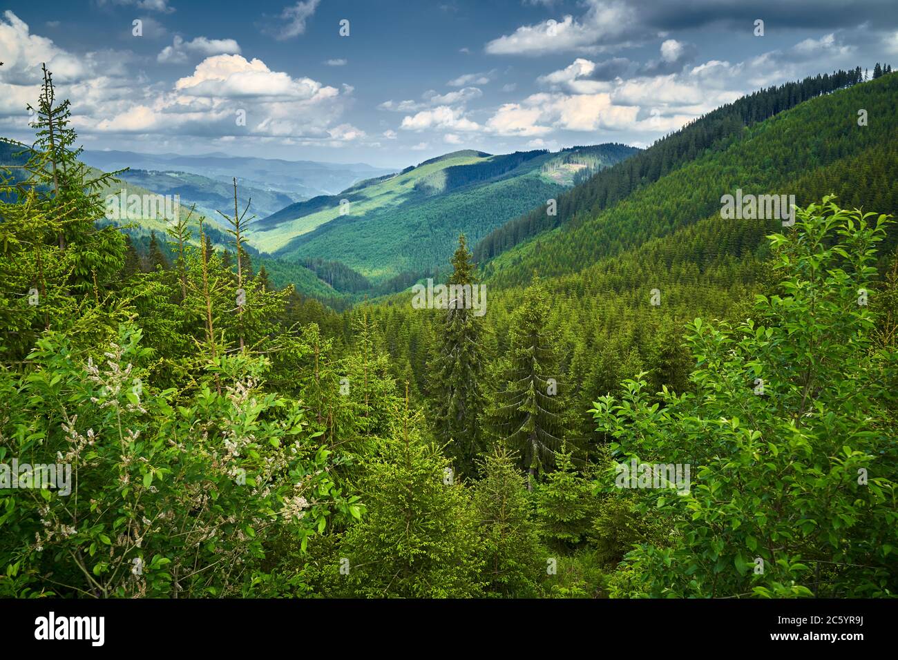 Aerial view of mountains and forests in the summer Stock Photo - Alamy