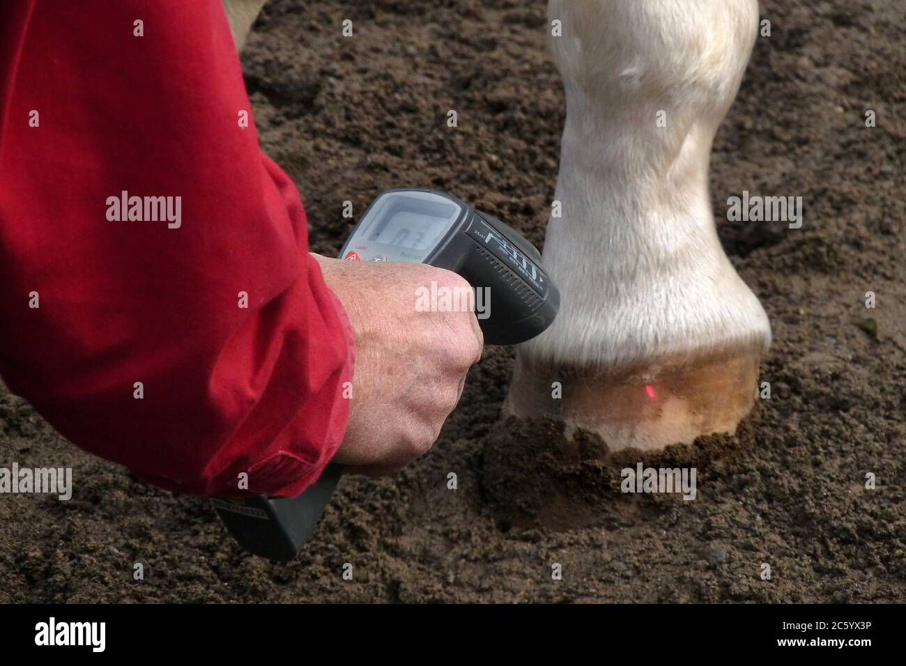 Split hoof hires stock photography and images Alamy