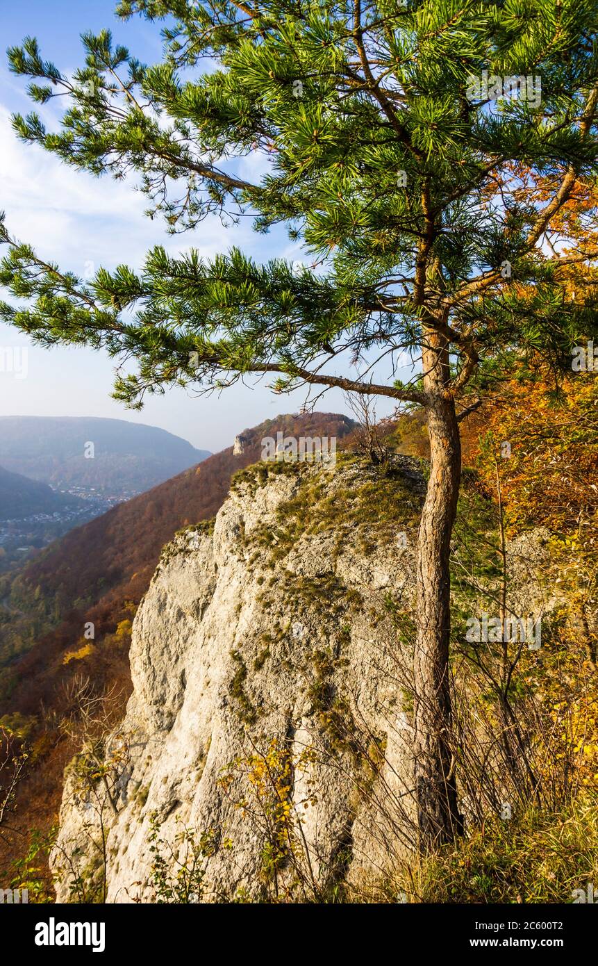 View of the lime stone rocks of Swabian Alb Mountains near Reutlingen, Germany. Stock Photo