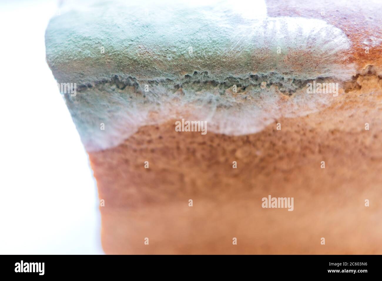 Moldy uneatable spoiled food. Mold on rye bread isolated on white background, selective focus Stock Photo