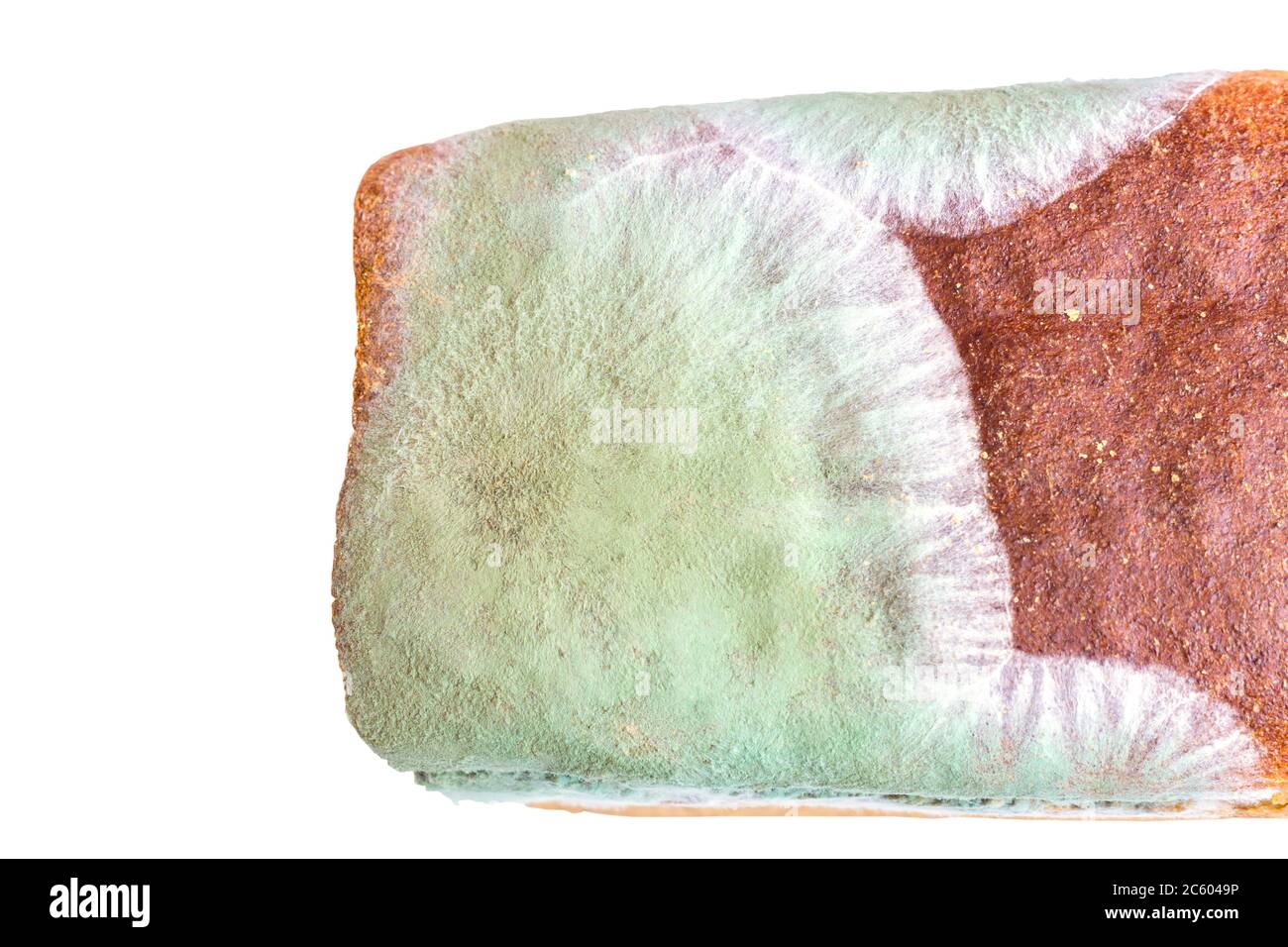 Moldy uneatable spoiled food. Mold on rye bread isolated on white ...