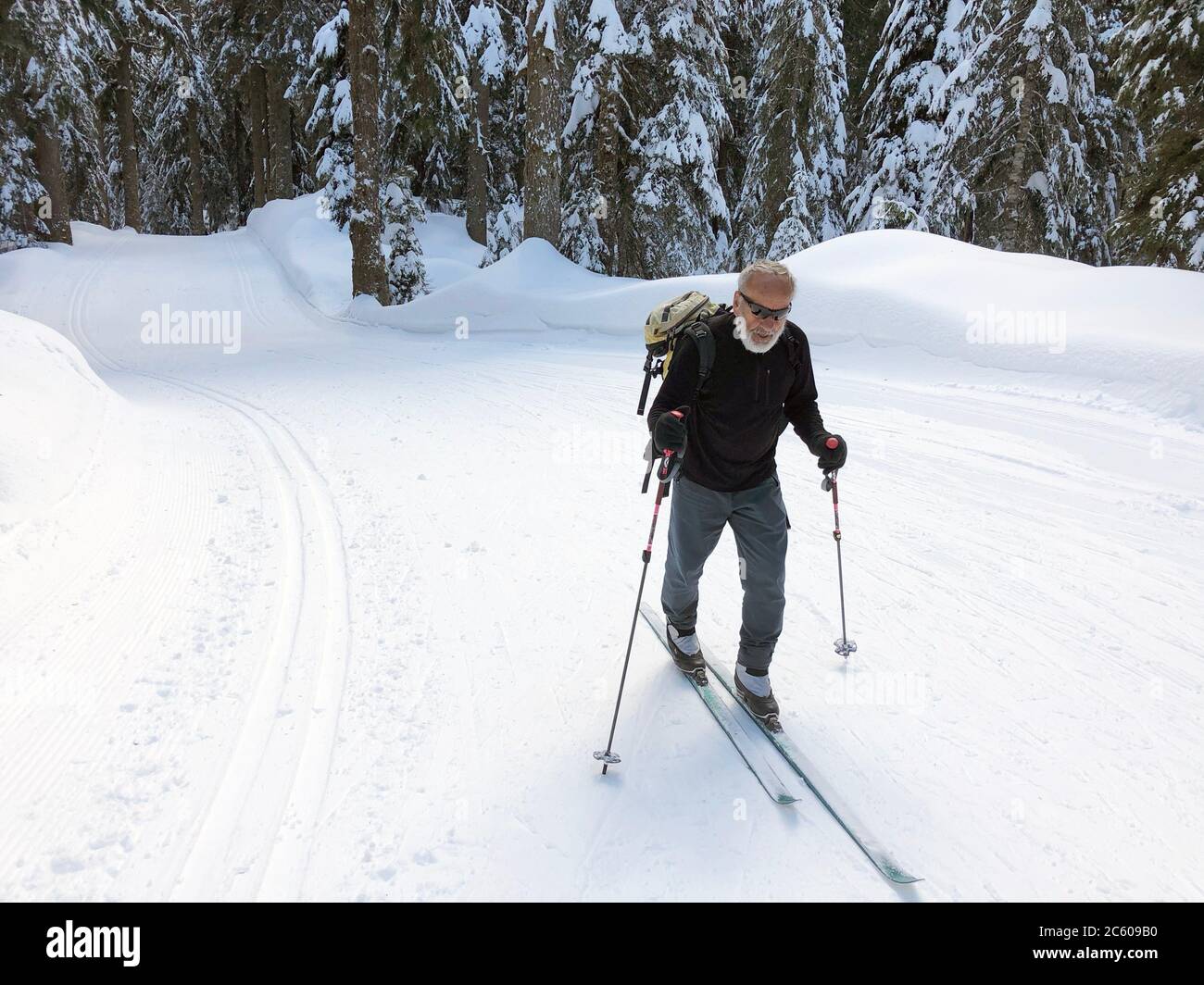 A man, 81, crosscountry skis at Hollyburn, West Vancouver, BC, Canada
