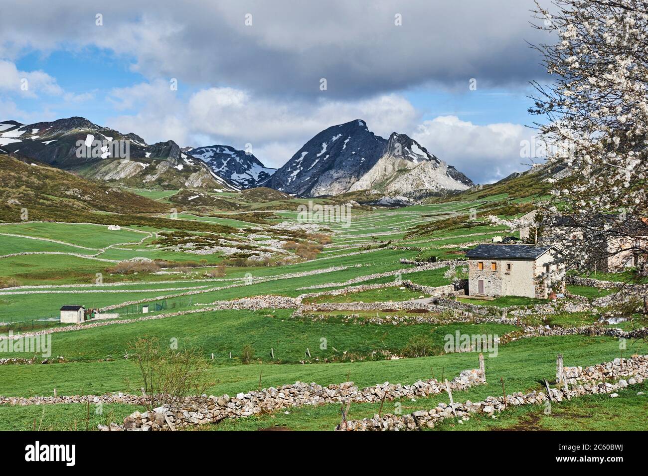 Cantabrian landscapes: mountain pastures in El Puerto, Somiedo region (Asturias, Spain) Stock Photo