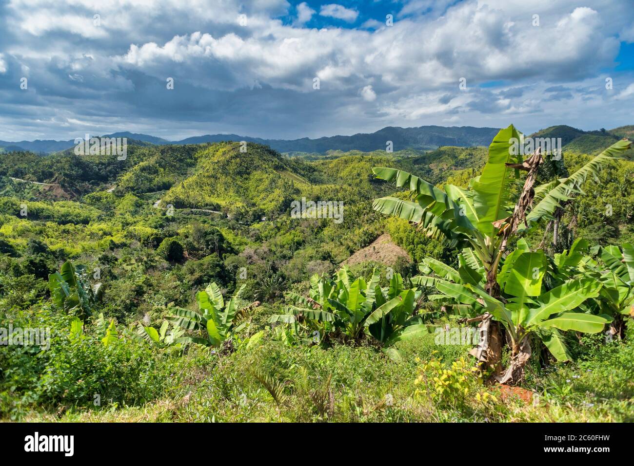 Beautiful pure nature landscape, Madagascar wilderness nature scene Stock  Photo - Alamy