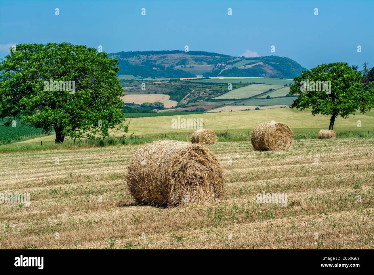 Bales of straw, hay bales in region Limagne, Puy de Dome department, Auvergne Rhone Alpes, France Stock Photo