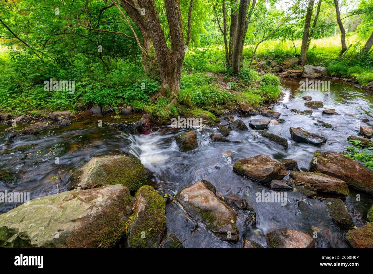 Grölisbach creek, later becomes Vichtbach, Vichtbachtal, near Roetgen, Eifel region, NRW, Germany Stock Photo
