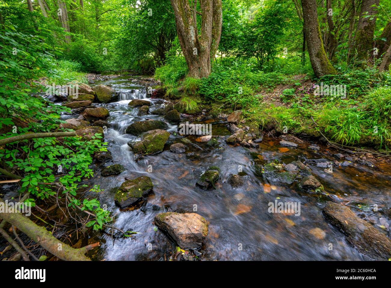 Grölisbach creek, later becomes Vichtbach, Vichtbachtal, near Roetgen, Eifel region, NRW, Germany Stock Photo