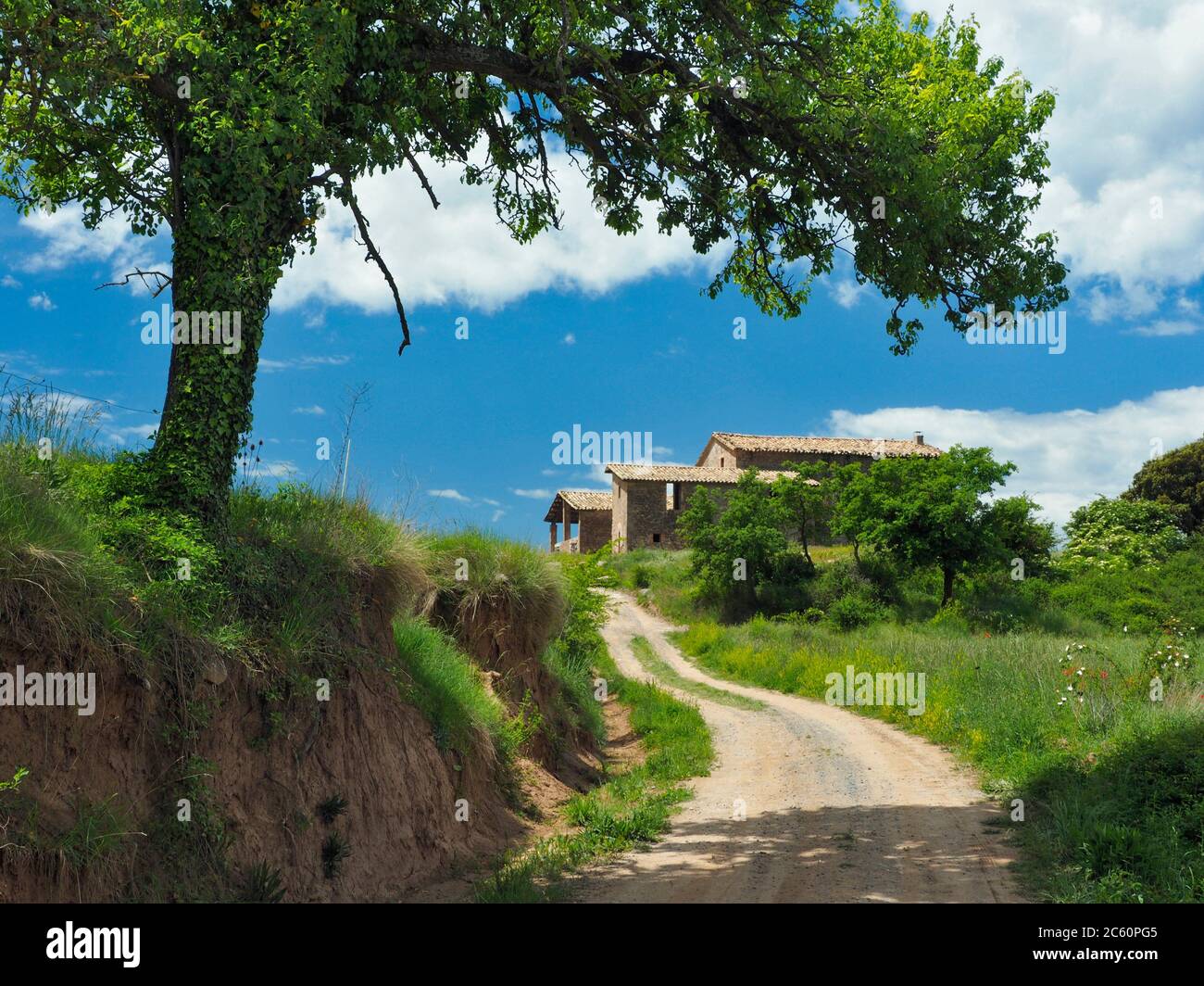 Dirt road leading to farmhouse. Lluçà village countryside. Lluçanès region, Barcelona province, Catalonia, Spain. Stock Photo