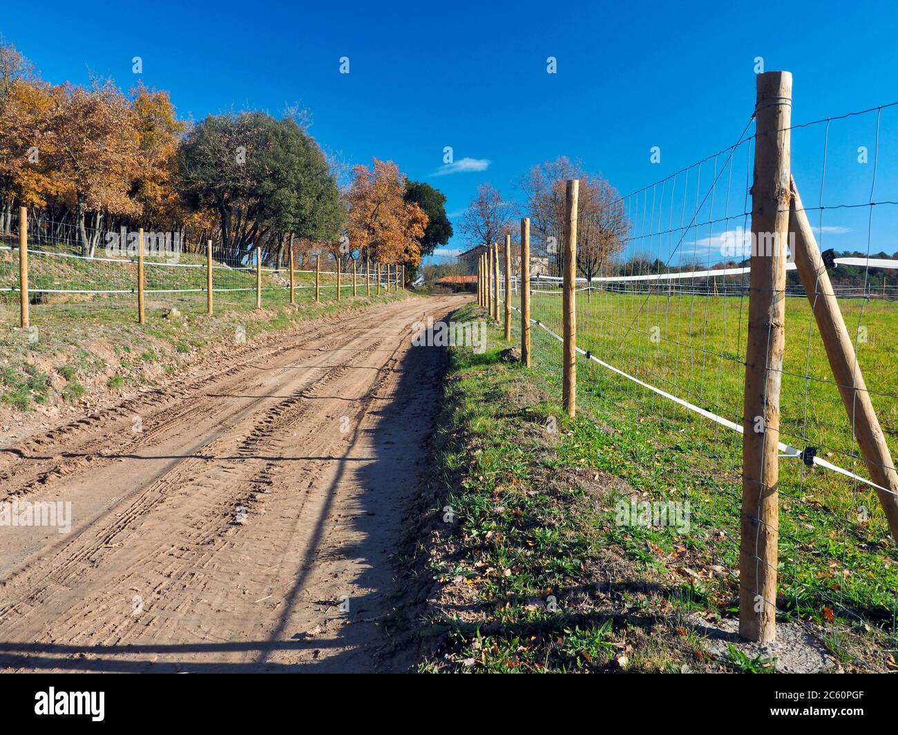 Dirty country road in between pasture fields. Sant Bartomeu de Grau village countryside. Lluçanès region, Barcelona province, Catalonia, Spain. Stock Photo