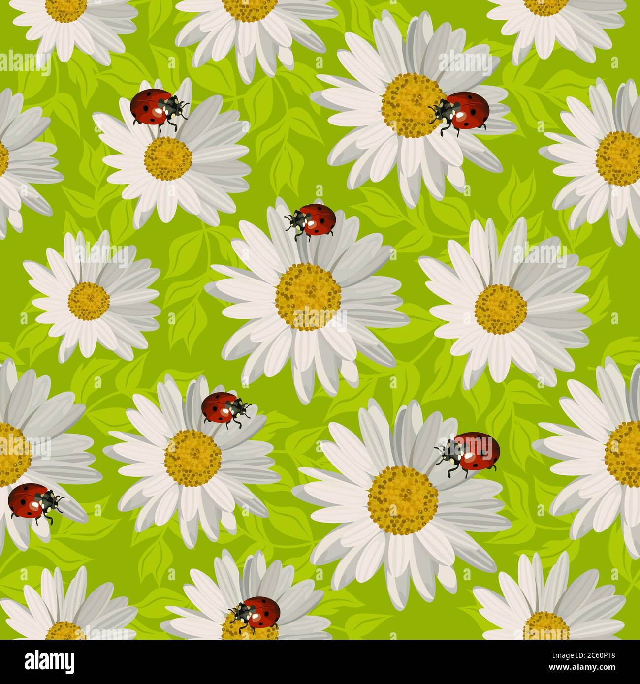 Seamless pattern with daisy flowers and ladybugs. Stock Vector