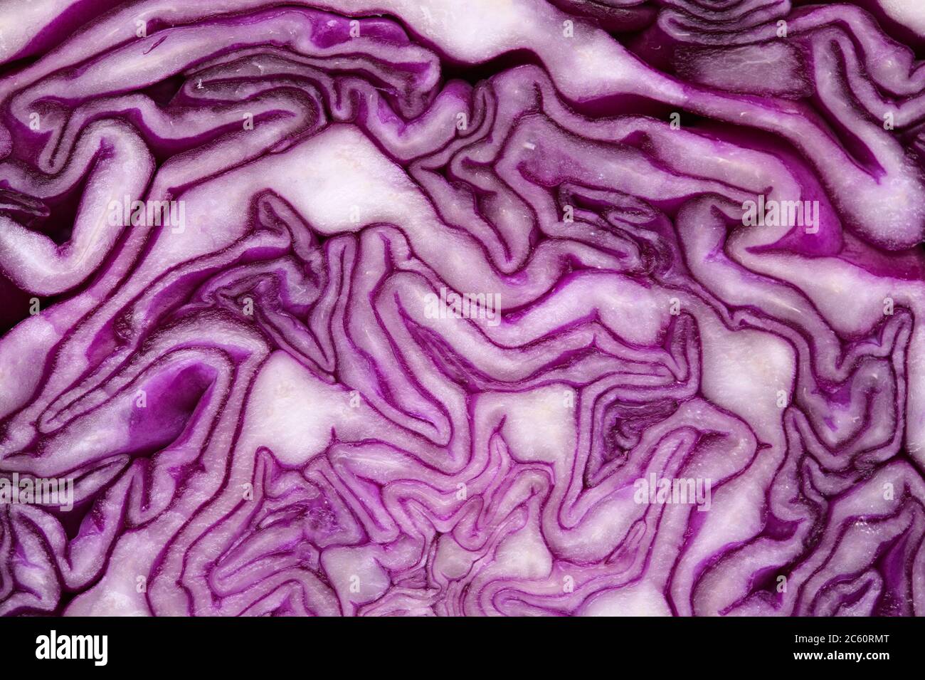 Red Cabbage cut, with inner patterns of folded leaves visible Stock ...