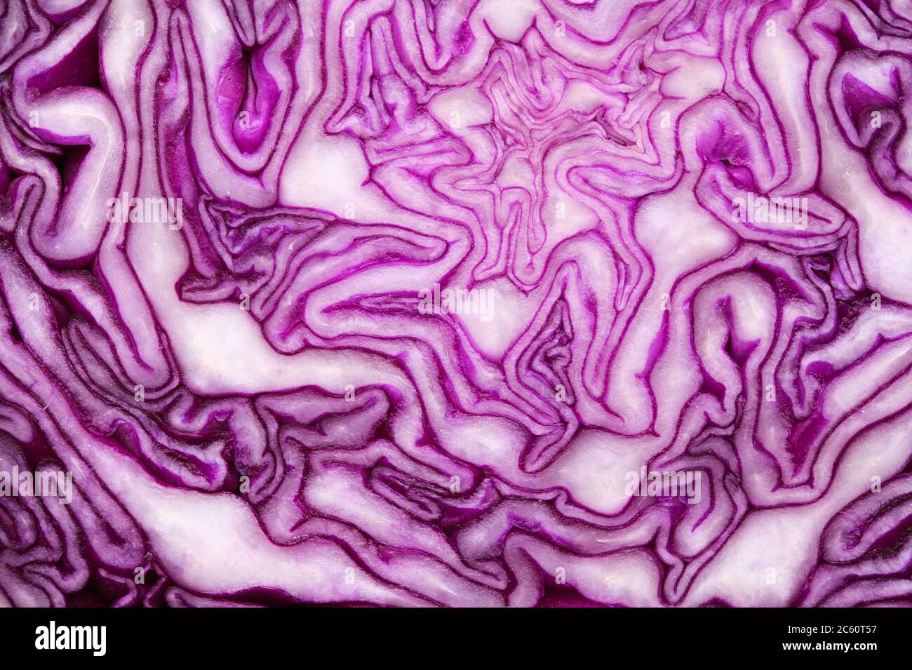 Red Cabbage cut, with inner patterns of folded leaves visible Stock ...