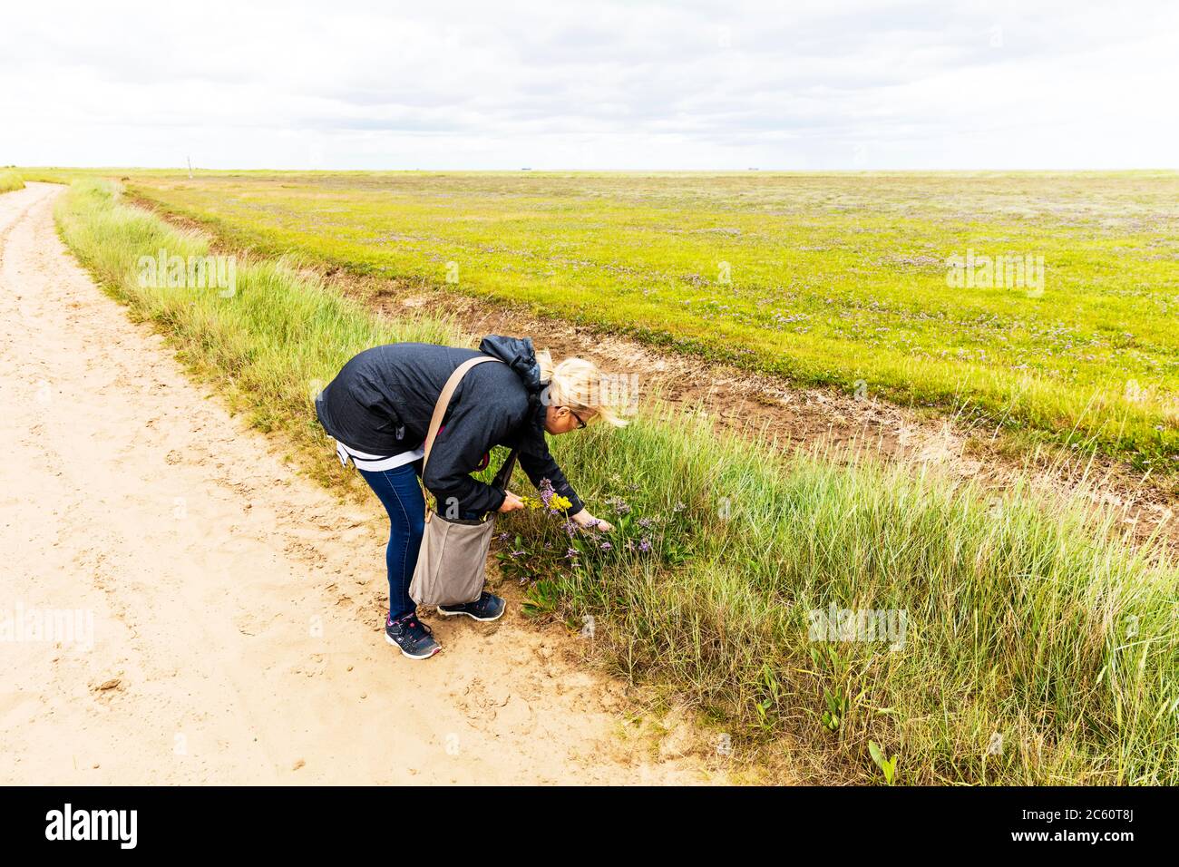 Picking wildflowers, wildflower picking, wildflowers, cutting, picking