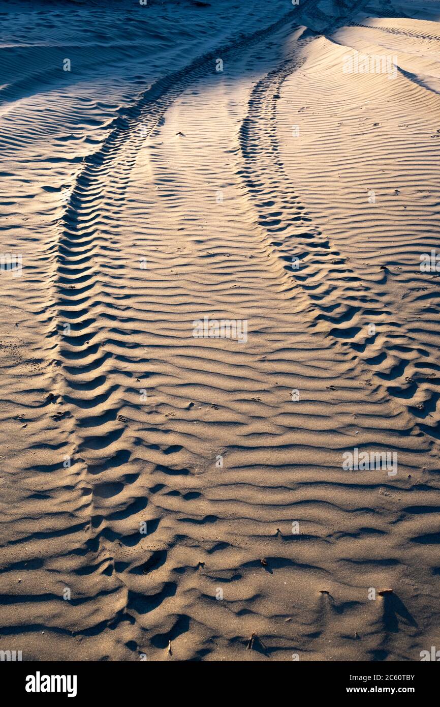 Four wheel drive vehicle tracks in sand dunes near Himatangi Beach, Manawatu, North Island, New Zealand Stock Photo