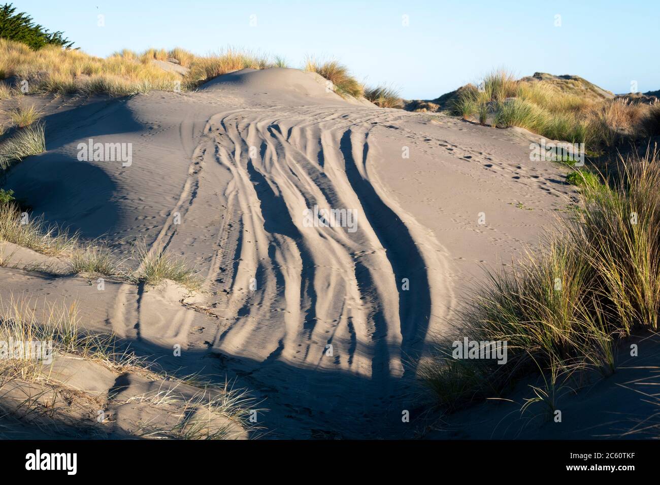 Four wheel drive vehicle tracks in sand dunes near Himatangi Beach, Manawatu, North Island, New Zealand Stock Photo