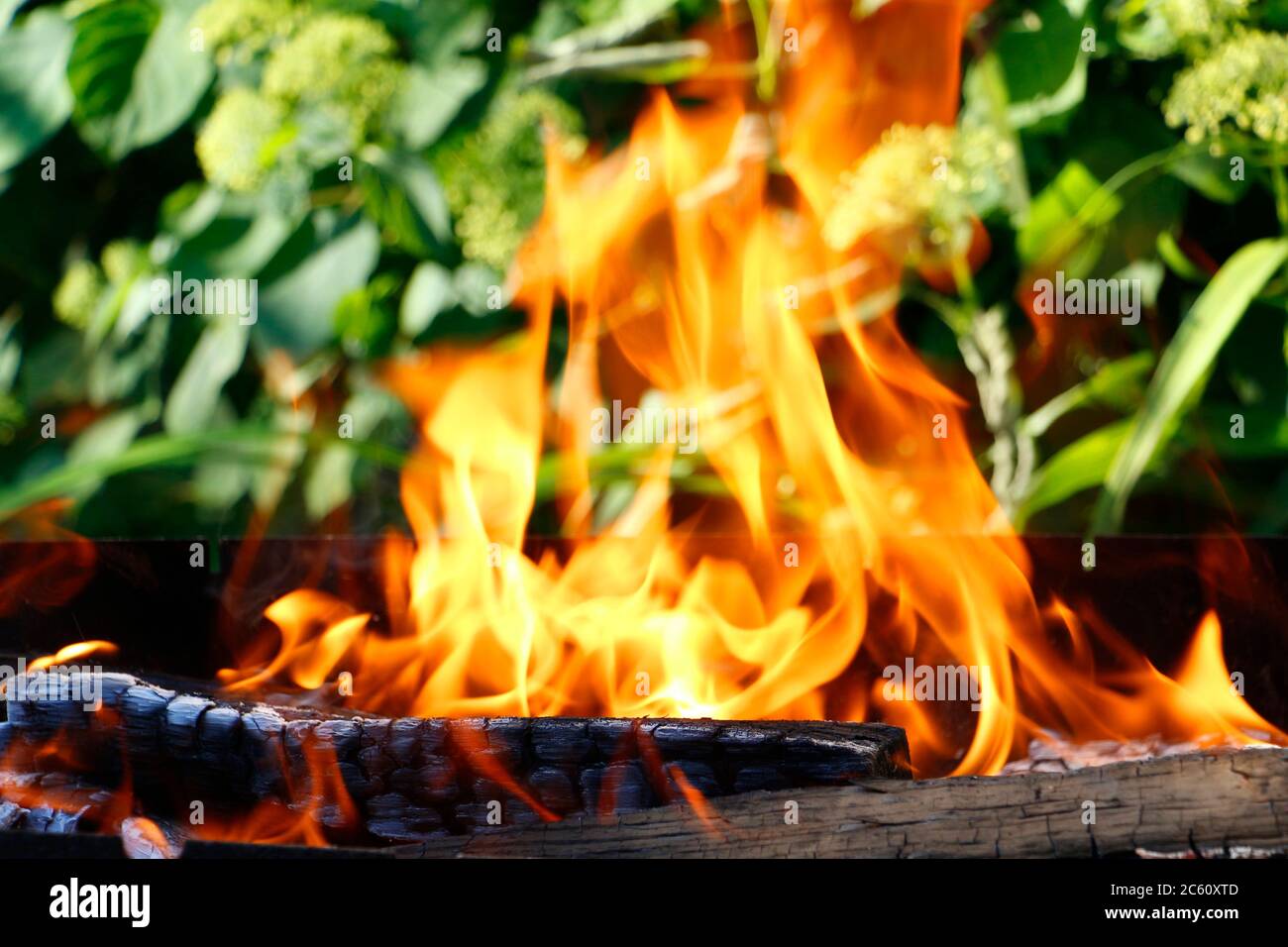 Bonfire. Orange flame of a fire. Bonfire on the grill with smoke. Arson or natural disaster. Bonfire close. Fire in nature. Bonfire background. Stock Photo