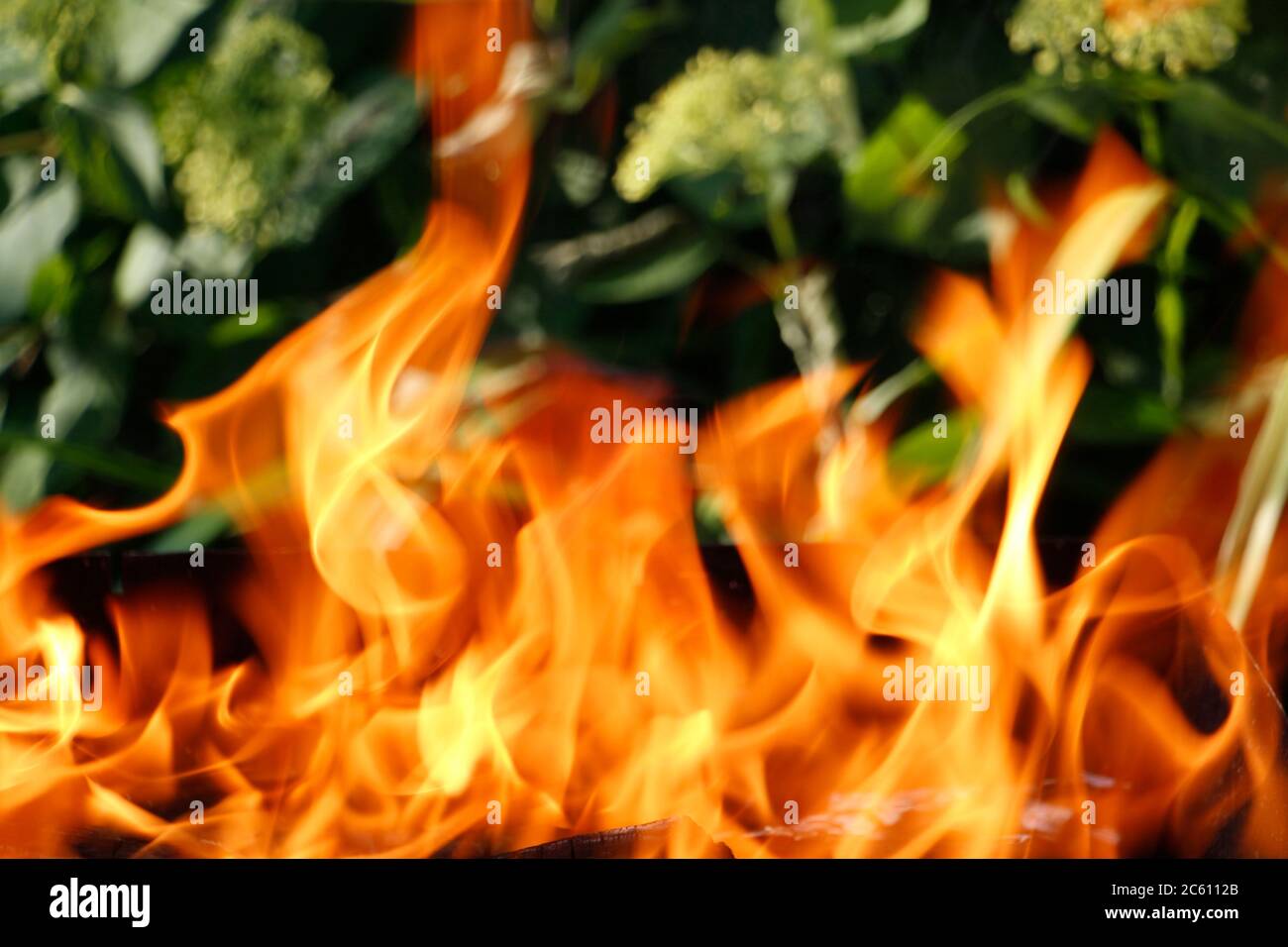 Texture. Bonfire. Orange flame of a fire. Bonfire close. Fire in nature. Bonfire background. Blurred photo. Blurred texture. Stock Photo