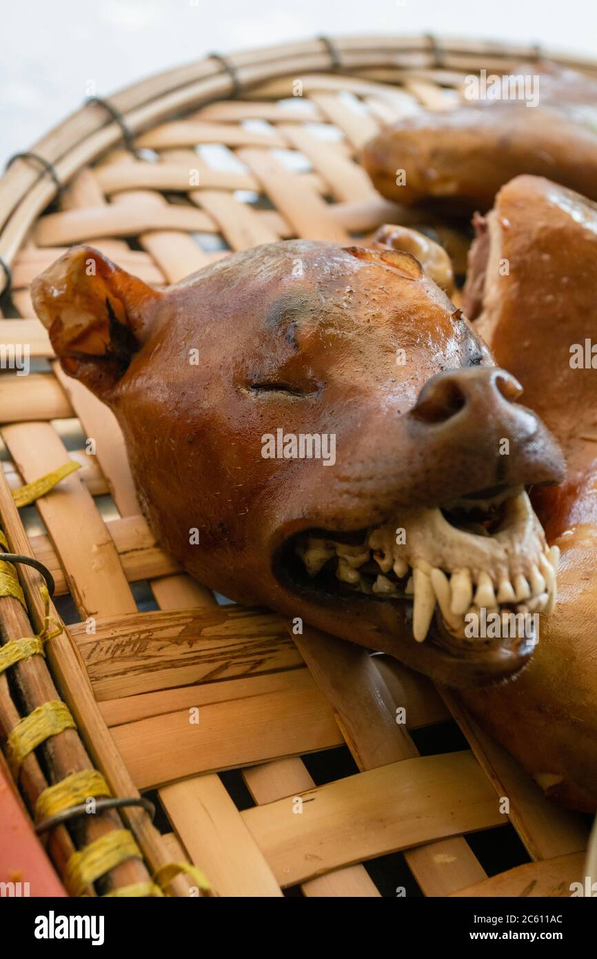 Roasted dog head close-up, body part meat for sale on street market stall on wicker tray. Disgusting vietnamese local food. Hanoi, Vietnam Stock Photo