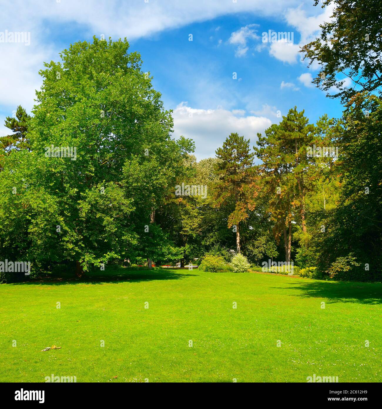 Beautiful summer garden with green meadow and tall trees. Stock Photo