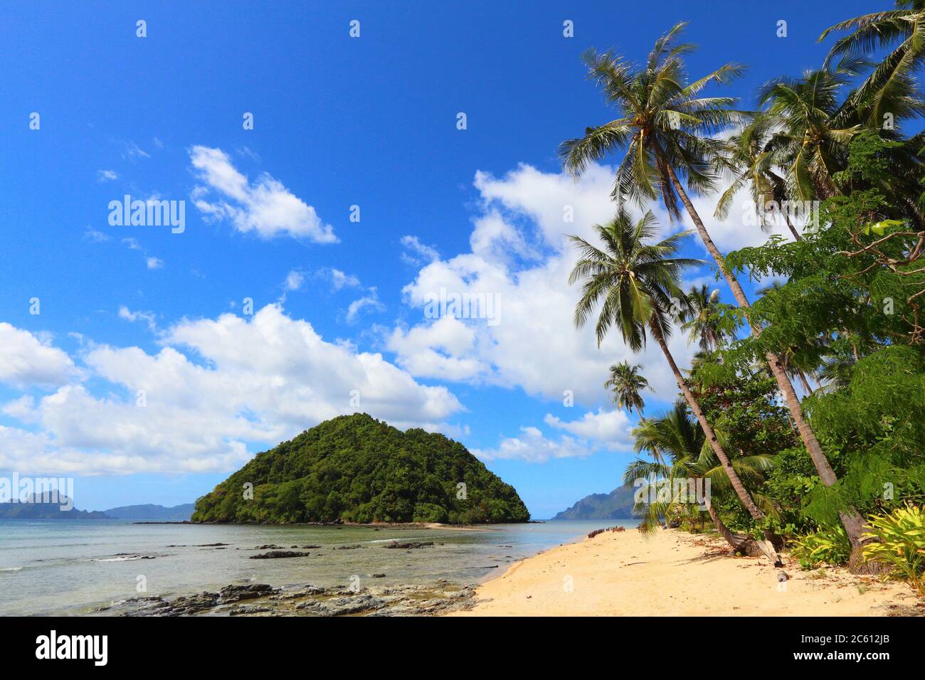 Beautiful Beach In El Nido Palawan Island Philippines Sandy Beach With Leaning Palm Trees Stock Photo Alamy