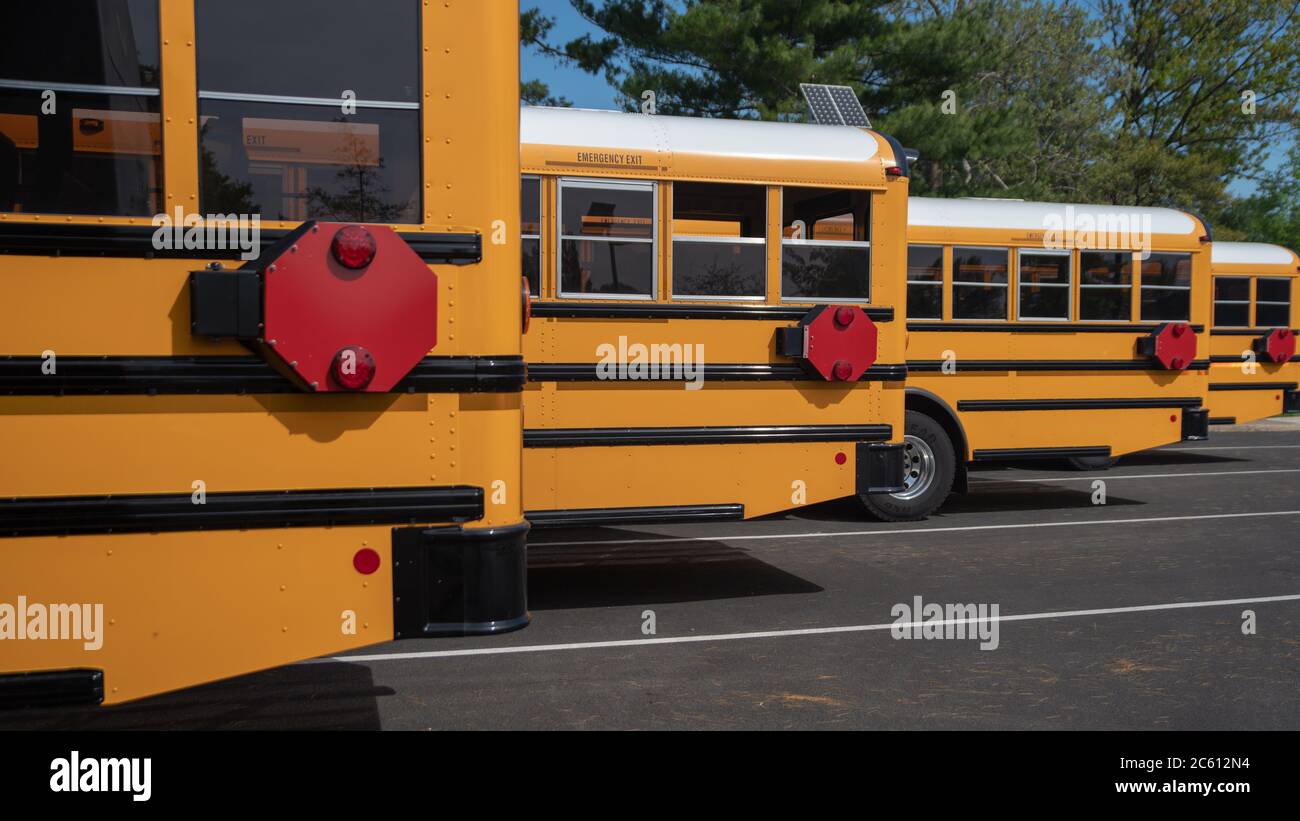 Row of back ends of parked yellow school buses with red safety stop signs used to signal oncoming traffic when loading and unloading students Stock Photo