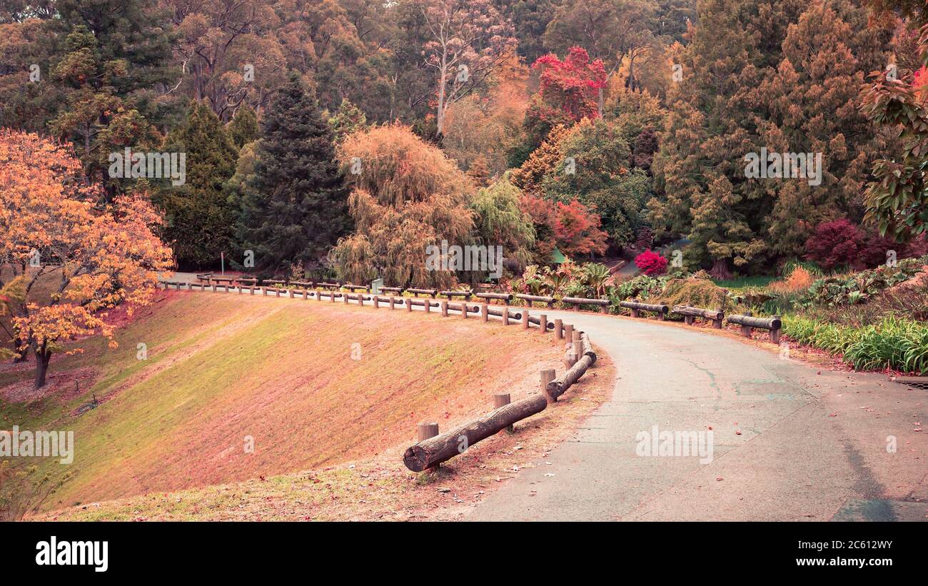 Mount Lofty botanic garden in autumn, Adelaide Hills, South Australia Stock Photo